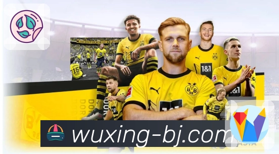 五星体育APP让体育直播更全面更高效